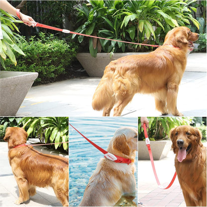 5Ft Waterproof Dog Leash Durable PVC Rope, Dog Lead Leash for Large,Medium,Small Dogs, Dog Leash for Walking, Running (Red)